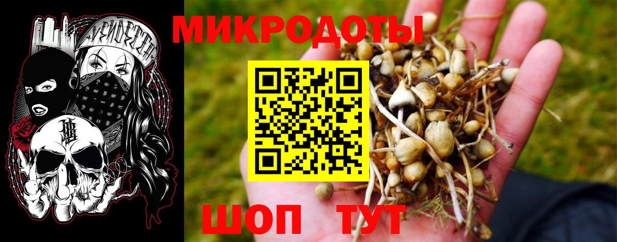 Псилоцибиновые грибы ЛСД Коммунар